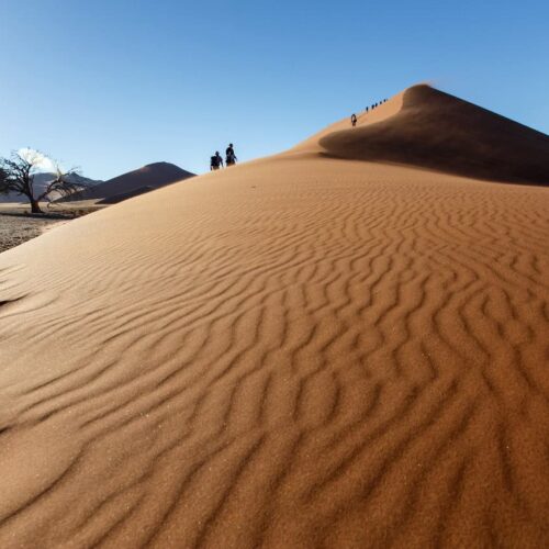 10 Days Tour From Fes To Casablanca