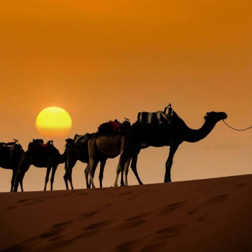 10 Days Tour From Tangier To Marrakech