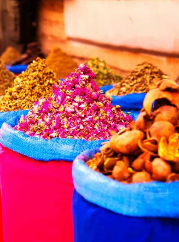 15 Days Tour From Tangier