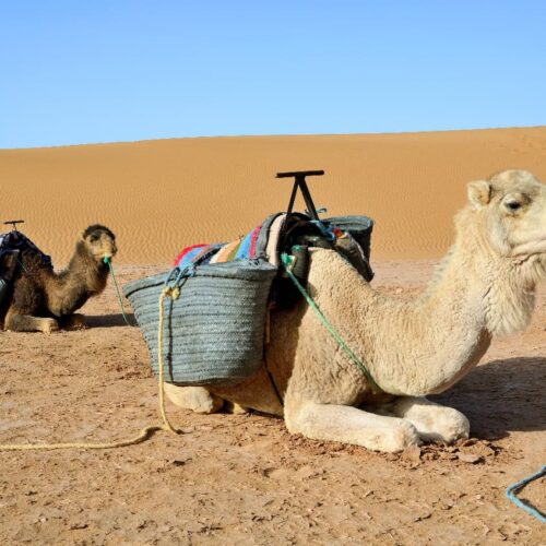 2 Days Private Tour From Marrakech