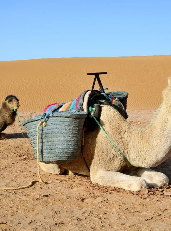 2 Days Private Tour From Marrakech