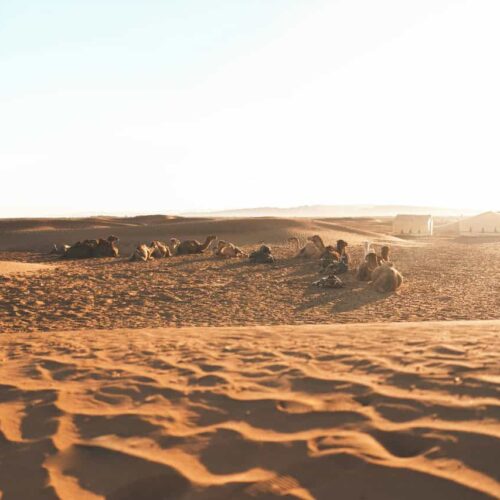 2 Days Private Tour From Marrakech