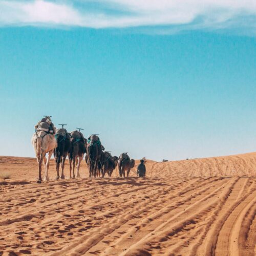 3 Days Fes To Marrakech Camel Trekking Tour