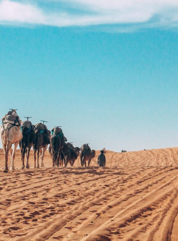 3 Days Fes To Marrakech Camel Trekking Tour