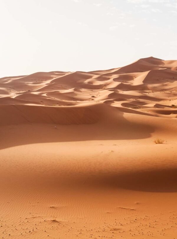 4 Day Tour From Marrakech To Fes