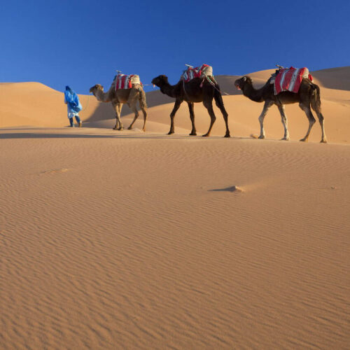 5 Days Tour From Marrakech To Merzouga