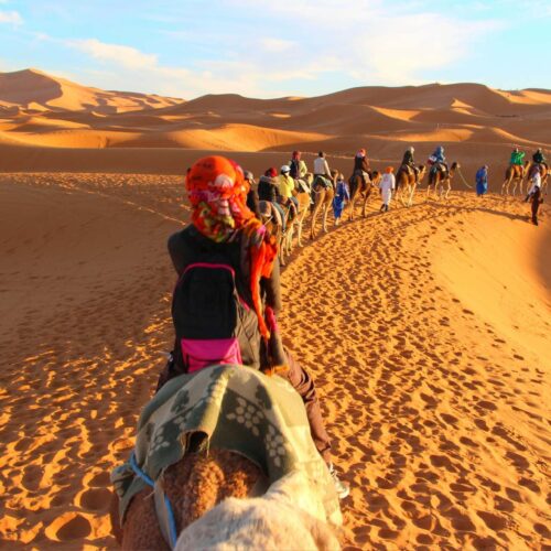 Camel Trek And Desert Camp Tour