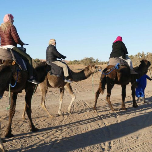 Camel Trek And Desert Camp Tour