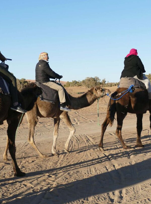 8 Days Tour From Marrakech To Merzouga