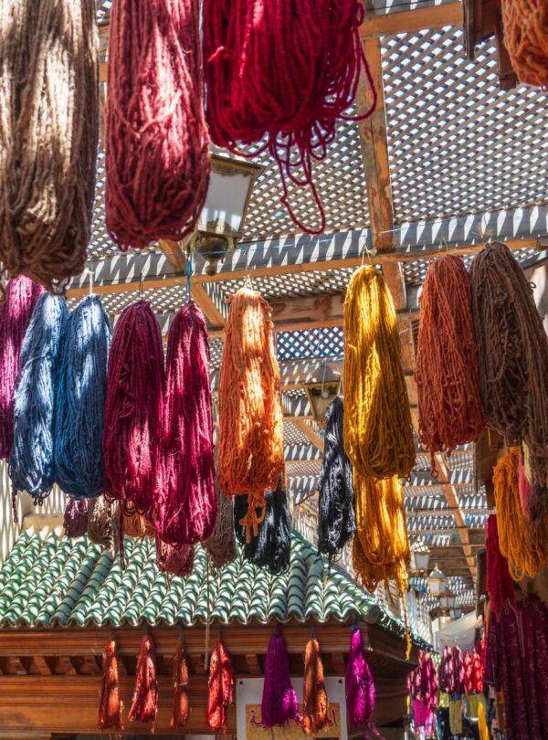 Day Trip Around Fes And Ifran