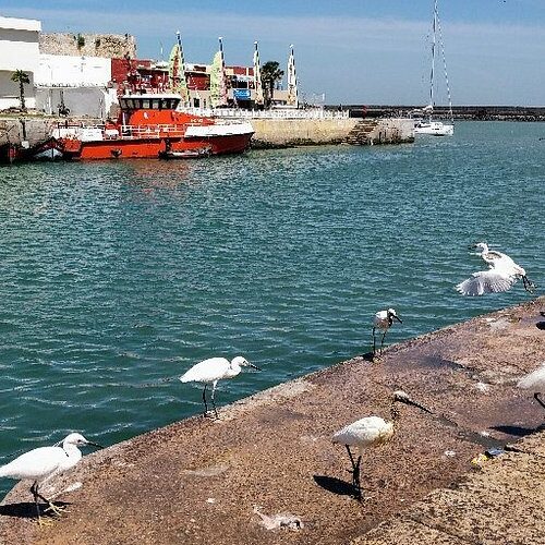 Day Trip From Casablanca
