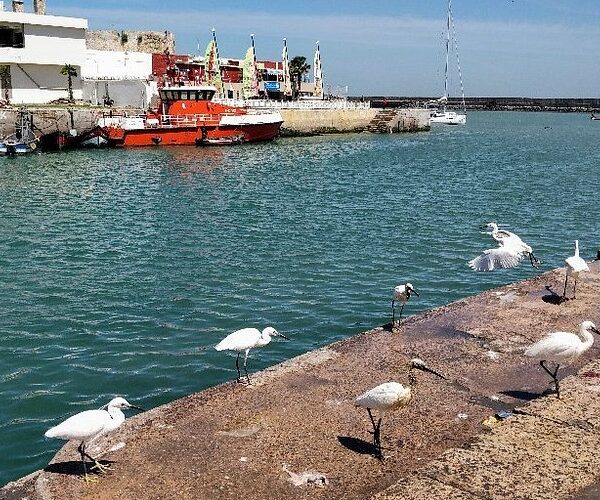 Day Trip From Casablanca