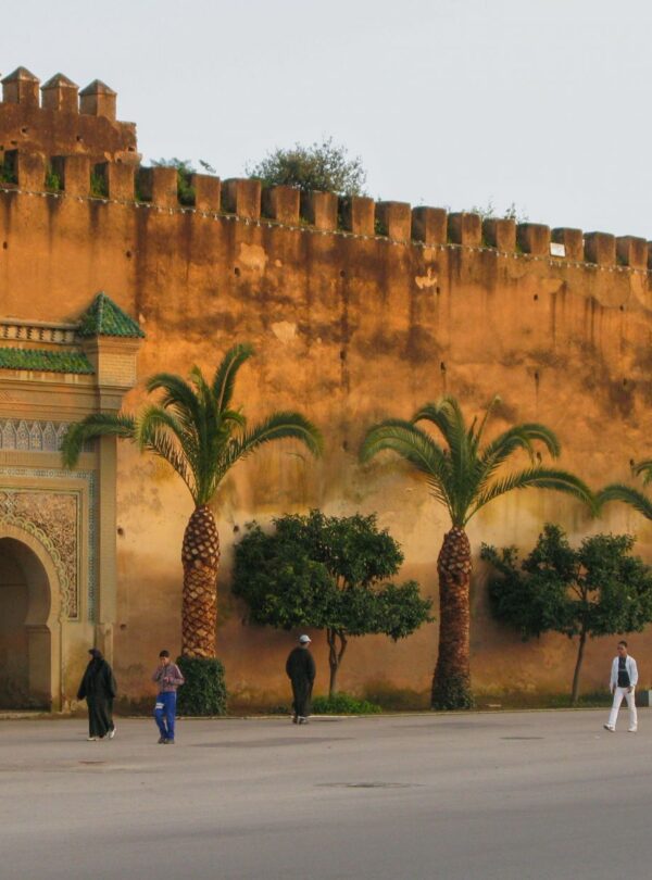 Day Trip From Fes To Meknes And Volubilis