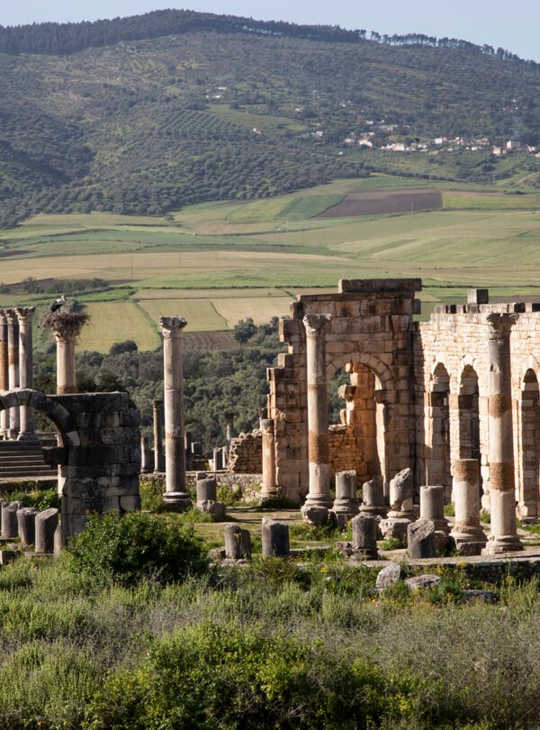 Day Trip From Fes To Meknes And Volubilis