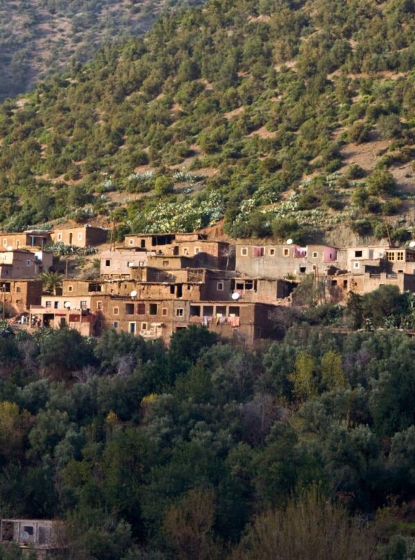 Day Trip From Marrakech To Ourika Valley