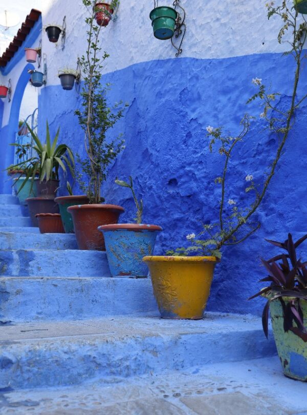 Day Trip To Chefchaouen From Fes