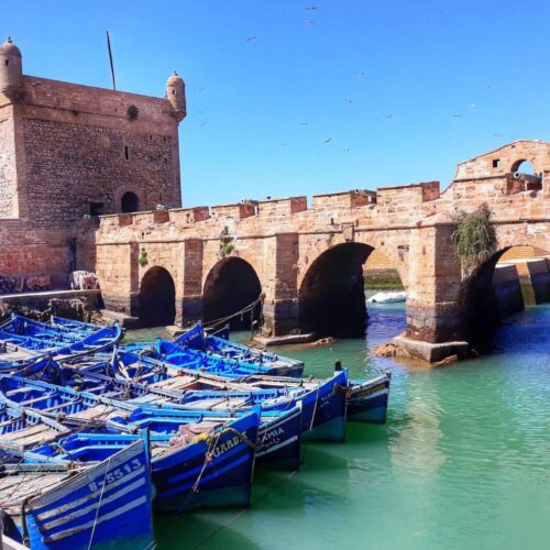 Excursions From Marrakech To Essaouira