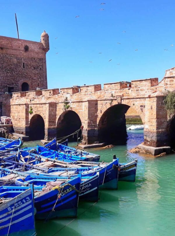 Excursions From Marrakech To Essaouira