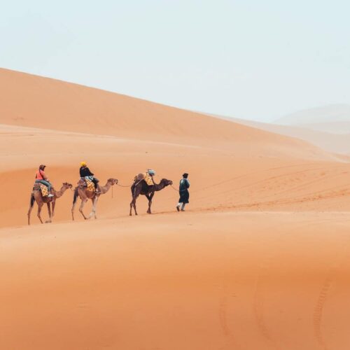 Fes to Marrakech and Desert Tour
