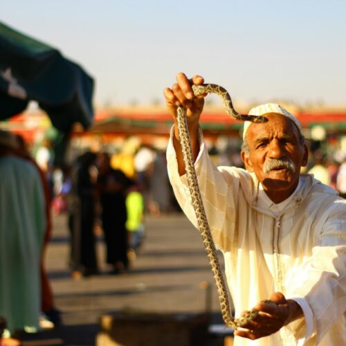 Full Day Tour To Explore Marrakech