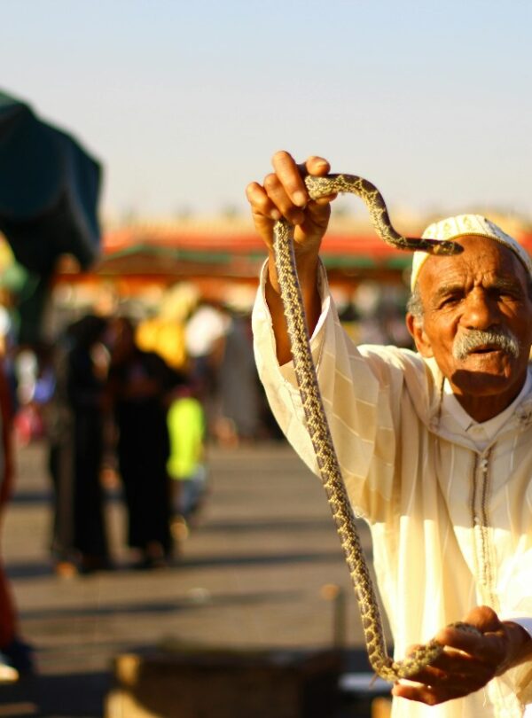 Full Day Tour To Explore Marrakech