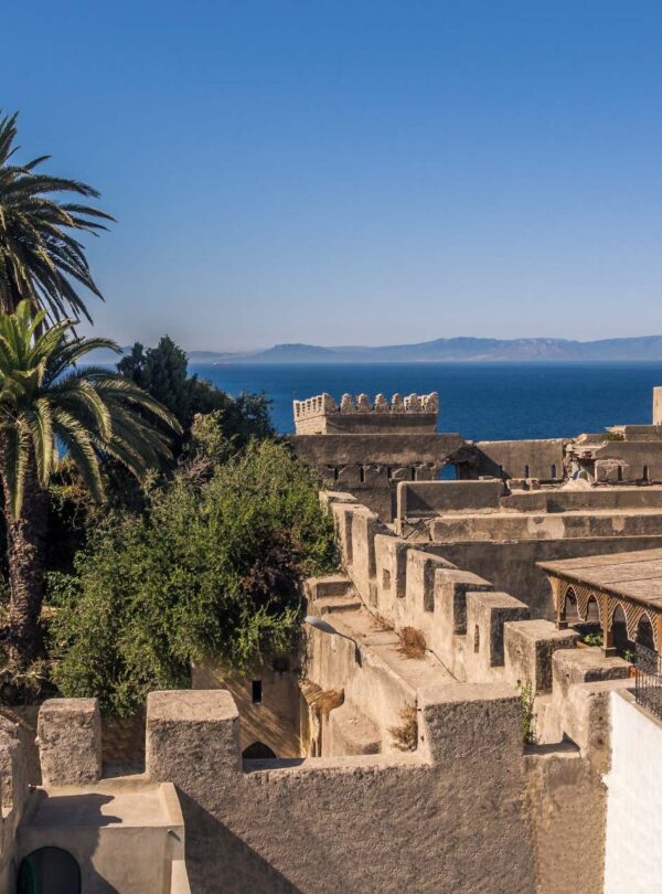 Full Day Tour to Explore Tangier