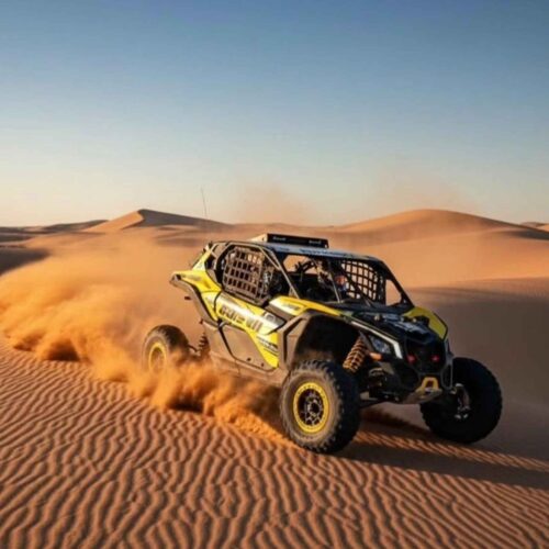 Quads And Buggy Ride In The Desert