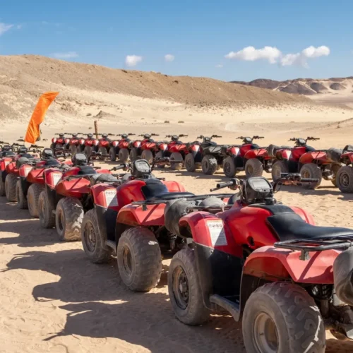Quads And Buggy Ride In The Desert