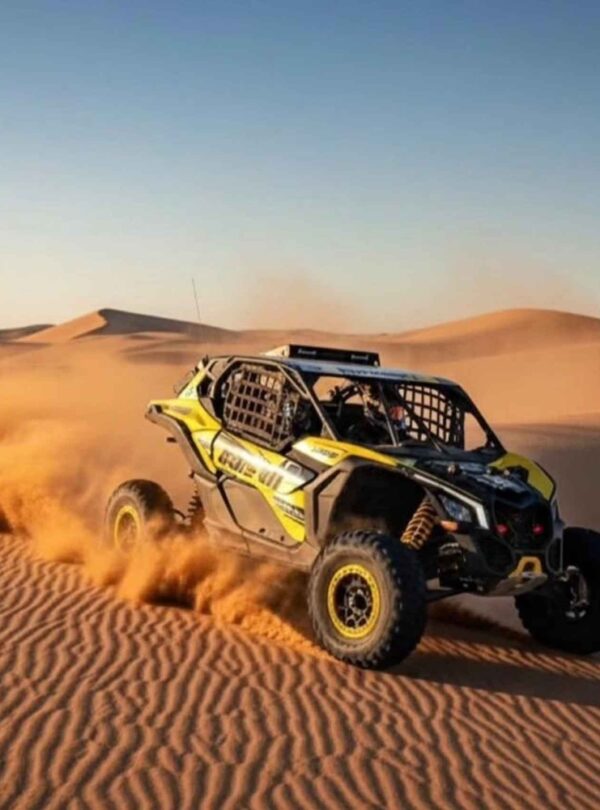 Quads And Buggy Ride In The Desert