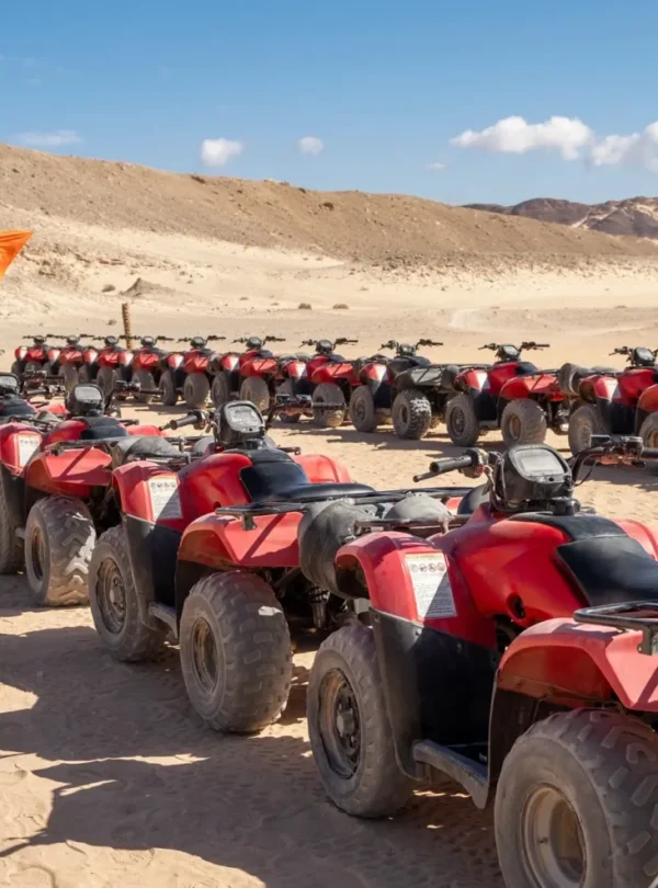 Quads And Buggy Ride In The Desert